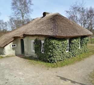 Efeu schützt die Lehmwand vor Regen