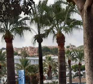 Wandern Santa Ponça / Santa Ponsa