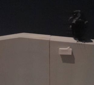 Nationalparkzentrum Haus der Berge