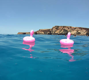 Schwimmen im Wasser