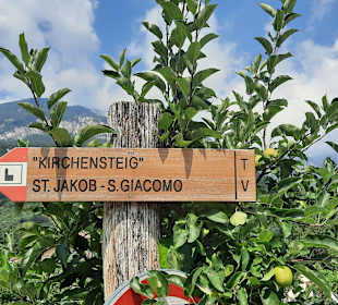 Wandern Termeno sulla Strada del Vino / Tramin an der Weinst
