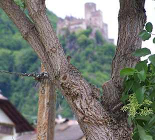 Die Burg im rustikalen Rahmen