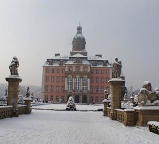 Wejścia do Zamku strzegą lwy.