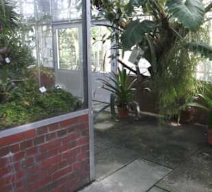 Botanischer Garten