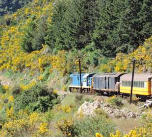Mit der Taieri Railway durch die Natur Neuselands