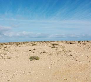 Gelände zur Westküste