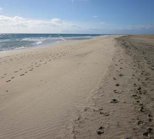 Unendlich langer und breiter Jandia Strand