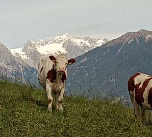 Wandern Valdaora / Olang