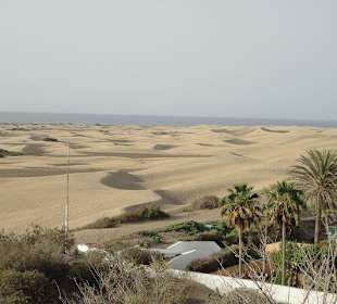 Dünen Maspalomas