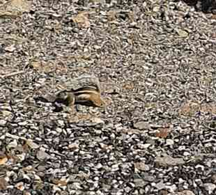Wandern TimeforNature Tarajalejo