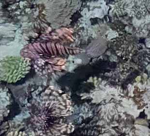 Hausriff in der Nacht 