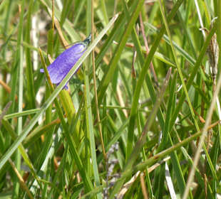 Schöne Wanderungen bei Oberstdorf