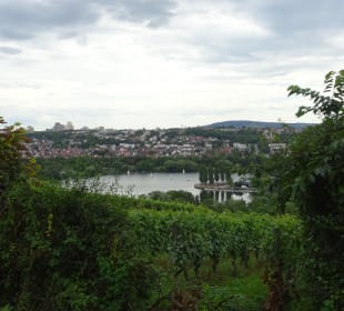 Im und ums Tapachtal