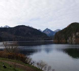 Alpsee