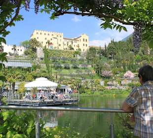 Frühling im Botanischen Garten