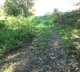 Baumlehrpfad Zollertal