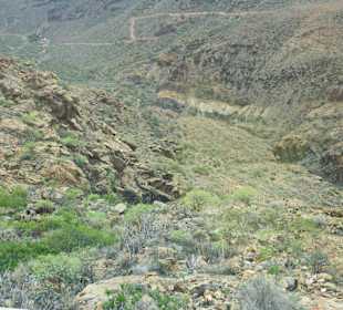 Mirador Degollada de Las Yeguas