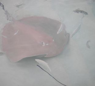 Ein braunes Exemplar