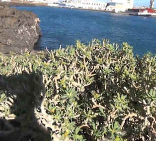 Castillo de San José