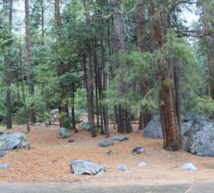 Yosemite Nationalpark