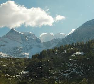 Bernina-Express
