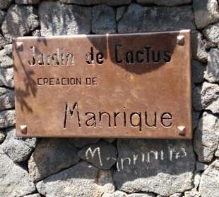 Karge Landschaft - voll in Blüte