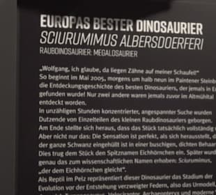 Dinosaurier Museum Altmühltal