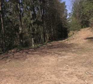 Teufelstisch Hinterweidenthal