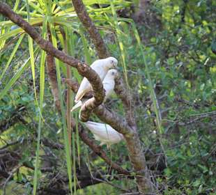 Kakadu National Park