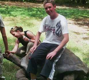 Schildkröte über 100 Jahre alt