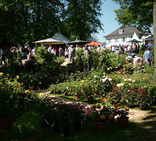 Im Hintergrund das Herrenhaus