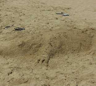 Alles Bauwerk von kleinen und großen Architekten