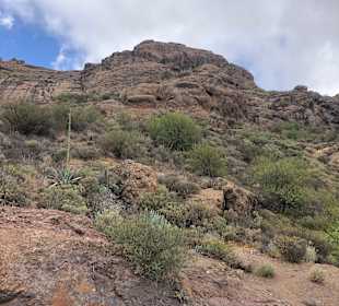 Inselrundfahrt Gran Canaria