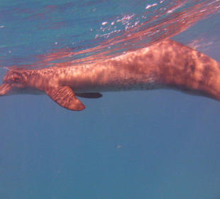 Wunderschön Natur pur...