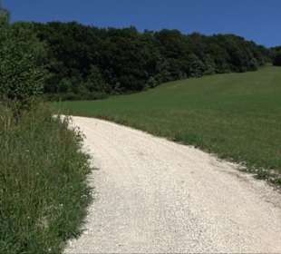 Ruine Hohengenkingen - Genkingen