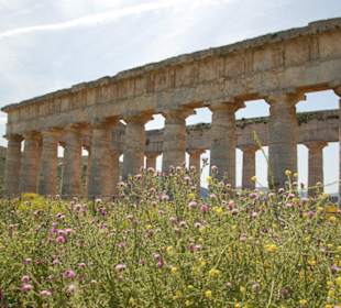 Segesta