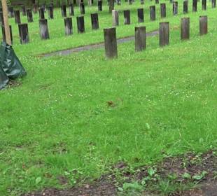 Waldfriedhof Degerloch