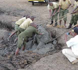 Babyfant-Rettung auf dem Weg nach Galdessa