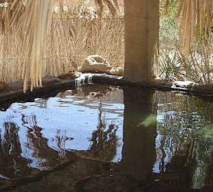 Ain Khudra