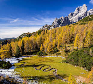 Wandern in Filzmoos, Rinderfeld 