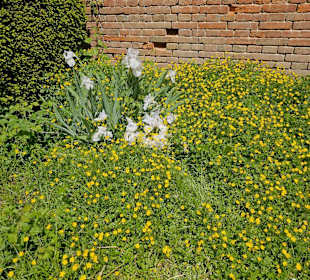 Stadtpark Glacis West