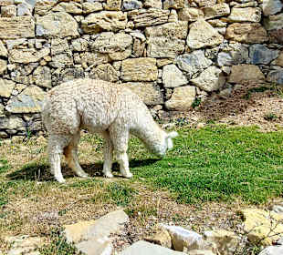 Wandern Isla del Sol