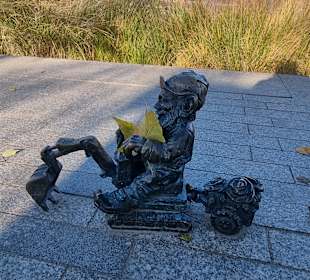 Am Oderufer mit Herbstlaub.