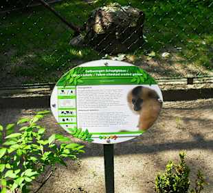 Zoo Eberswalde