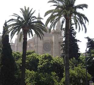 Kathedrale von Palma