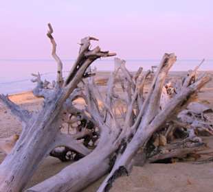 Bang Sak Beach Khao Lak