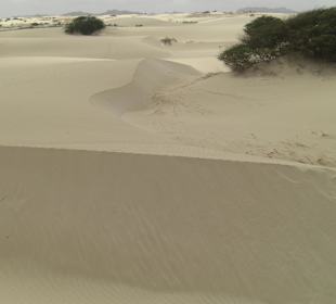 Sanddünen in der Wüste von Viana