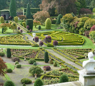 Blick über den Garten
