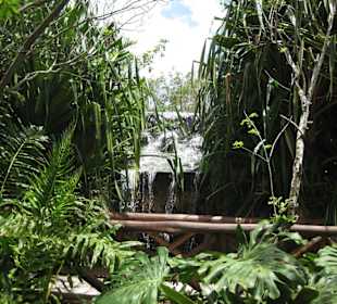 Botanischer Garten in Chakanaab