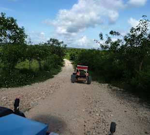 Ausflug Land und Leute